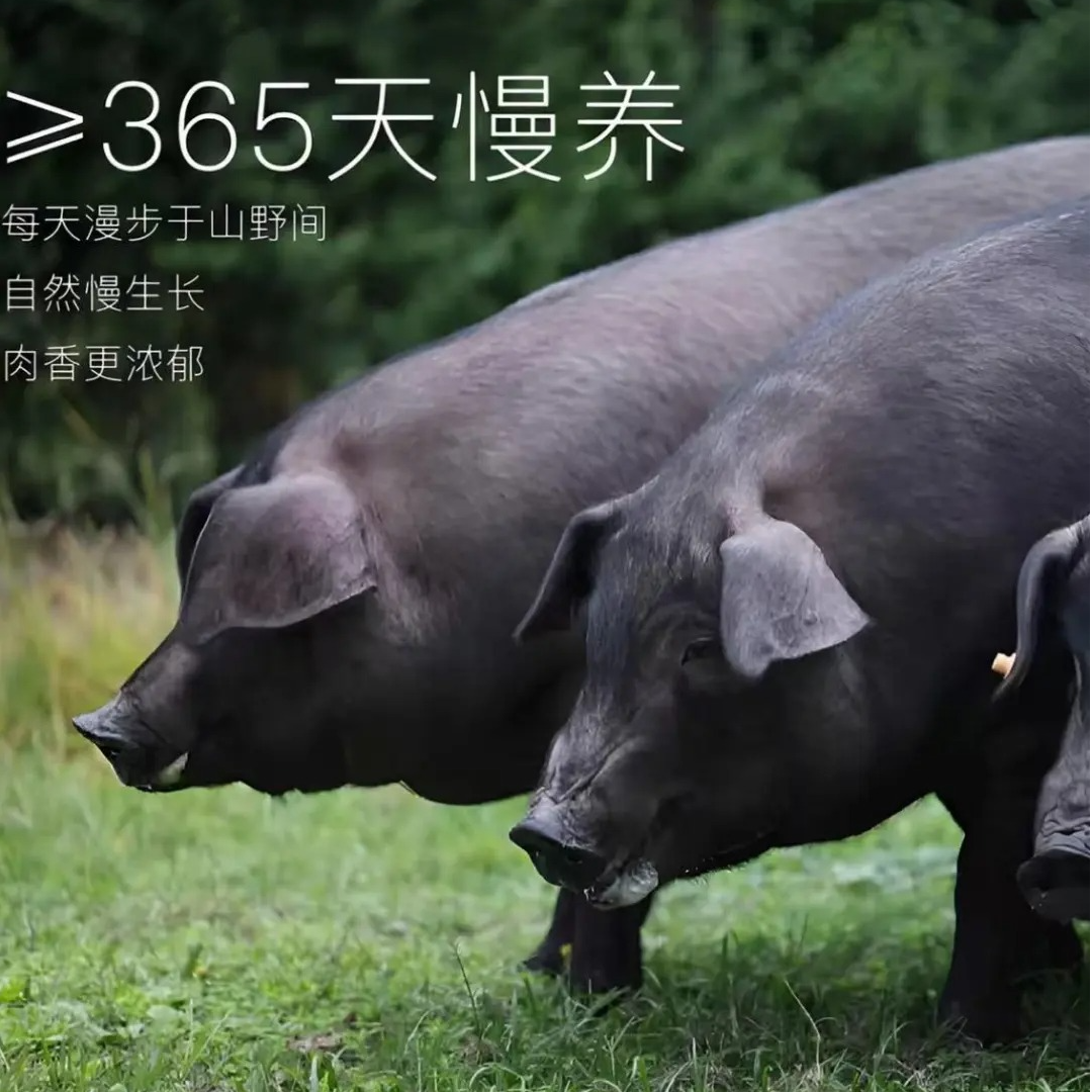 《京东快递》土黑猪 一物一拍
