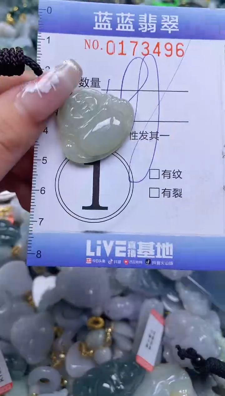 【闪购商品】翡翠颈饰未镶嵌闪购0173496