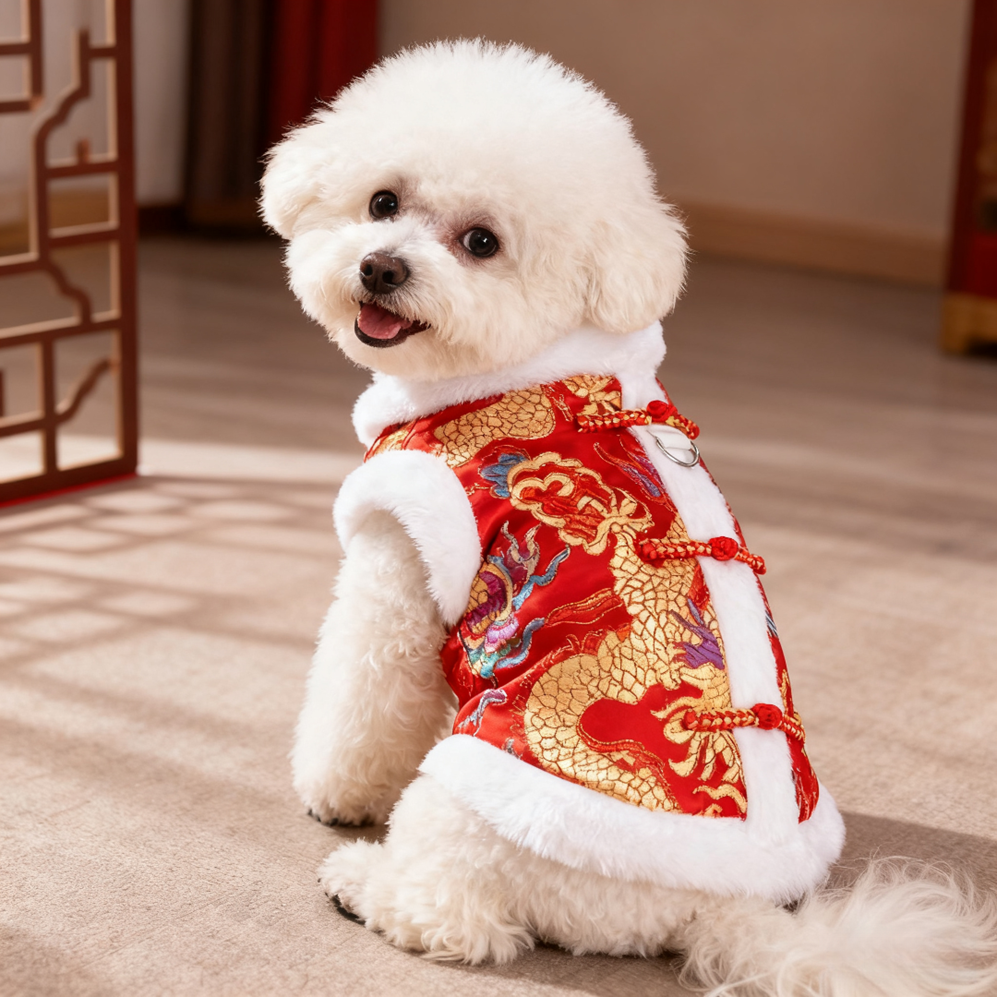 狗狗衣服新年龙袍装新中式龙纹刺绣拜年服可牵引狗狗舞狮秋冬衣服