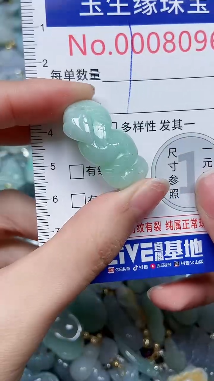 【闪购商品】翡翠颈饰未镶嵌闪购00008096