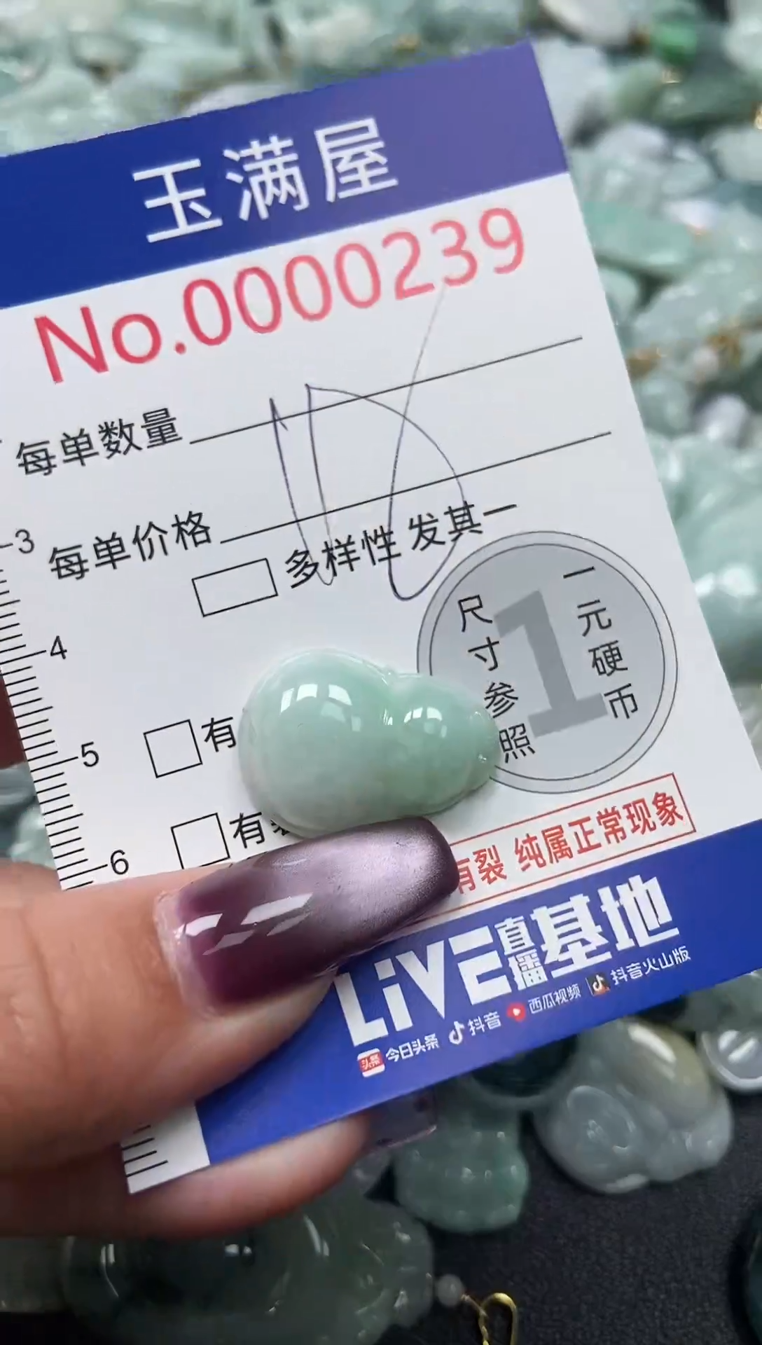 颈饰未镶嵌翡翠239