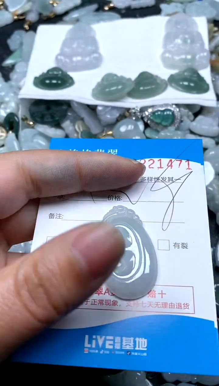 【闪购商品】翡翠颈饰未镶嵌闪购商品0221471