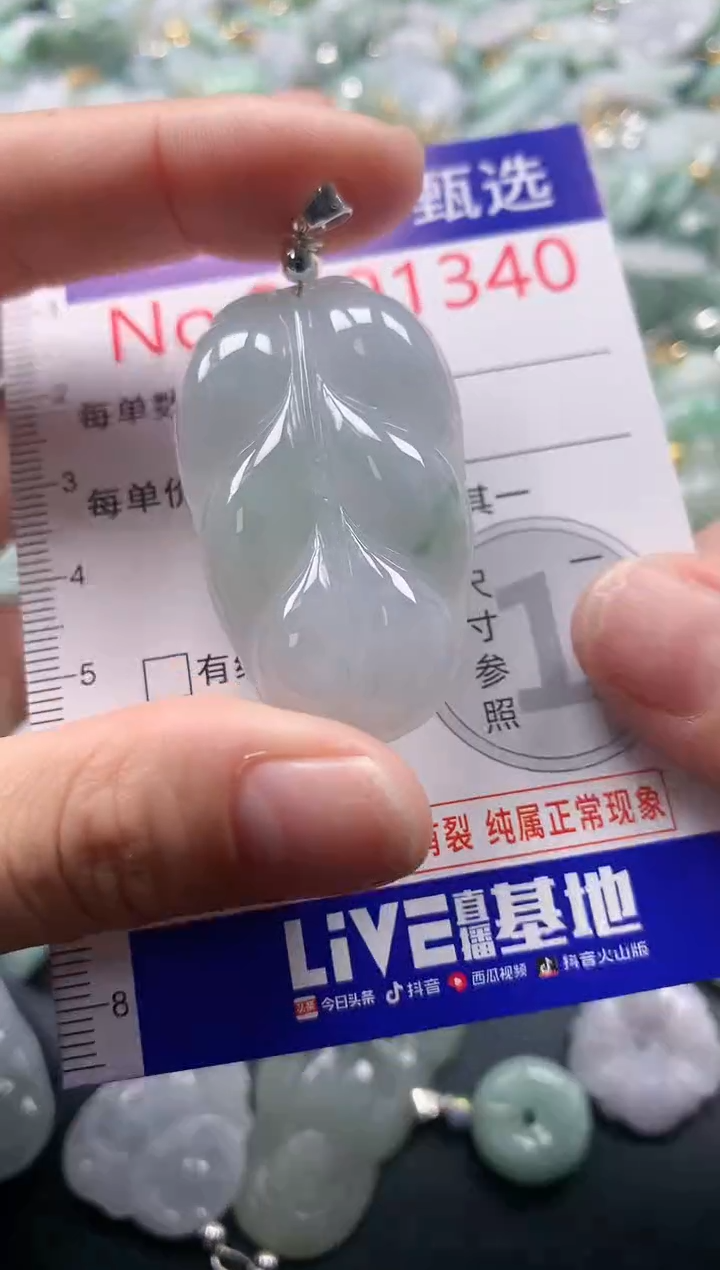 吊坠(不含链)未镶嵌翡翠1340