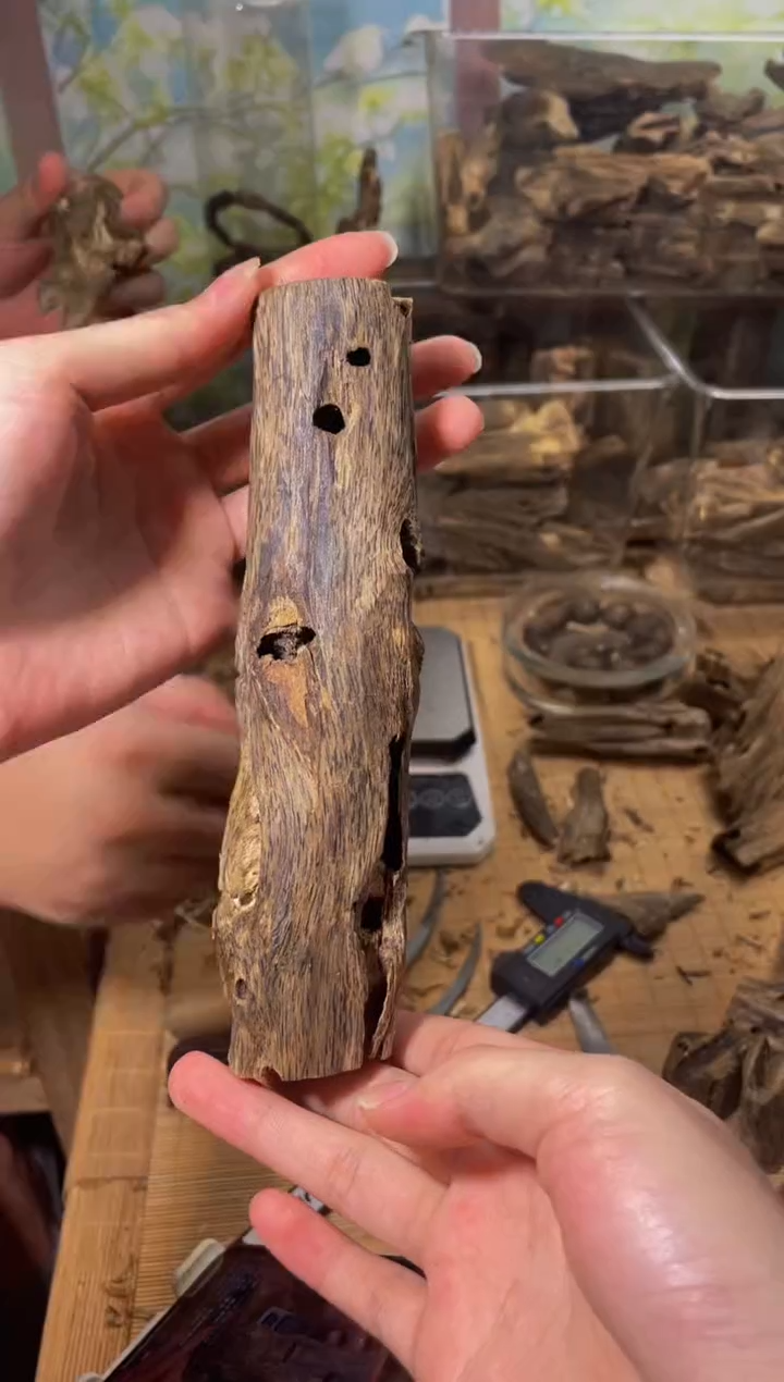 沉香碎屑沉香虫漏76