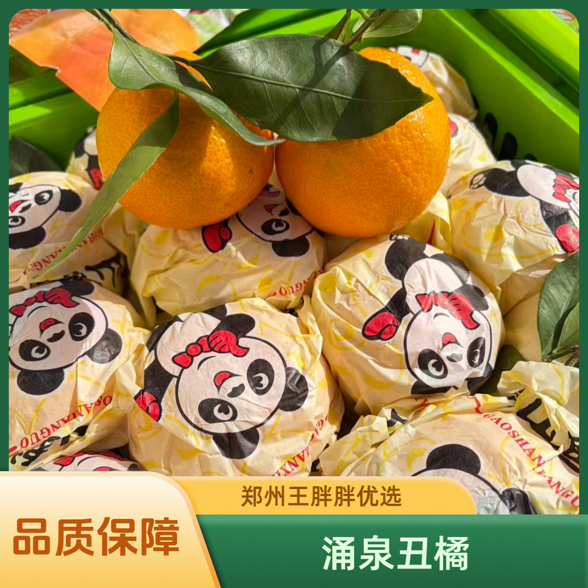 【涌泉丑橘】   树上熟 不上火 净重8斤