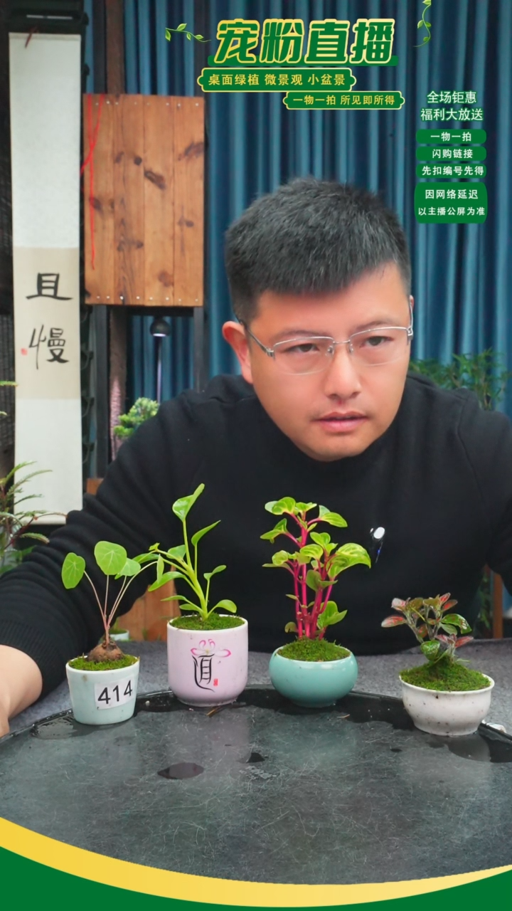 无花朵贝*苔藓微景观414号