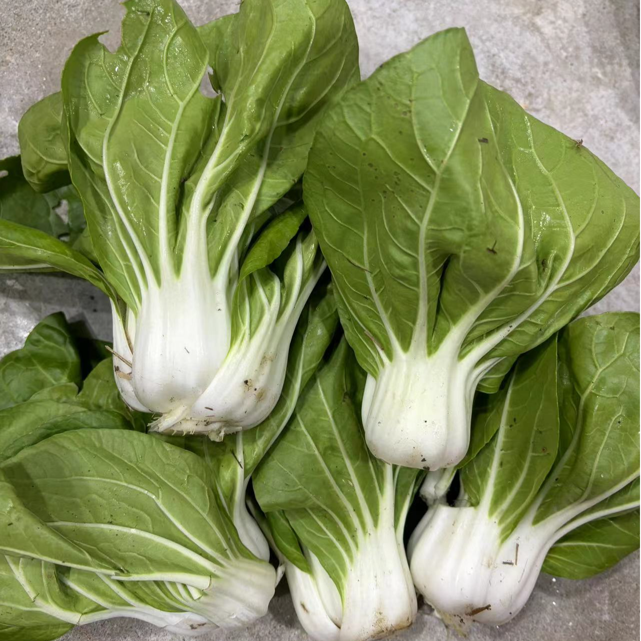 新鲜白菜（矮脚黄）-农家自种 现摘现发