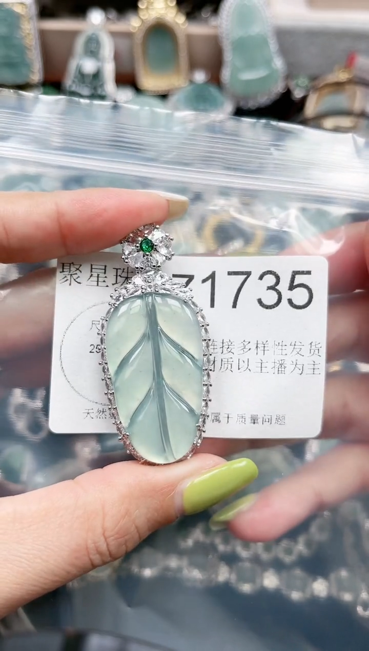 【闪购商品】翡翠颈饰未镶嵌赠皮绳1735