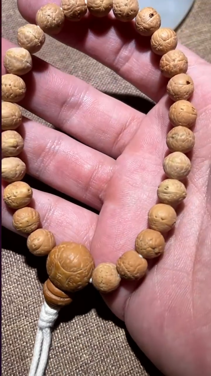 手串凤眼菩提88251106-20