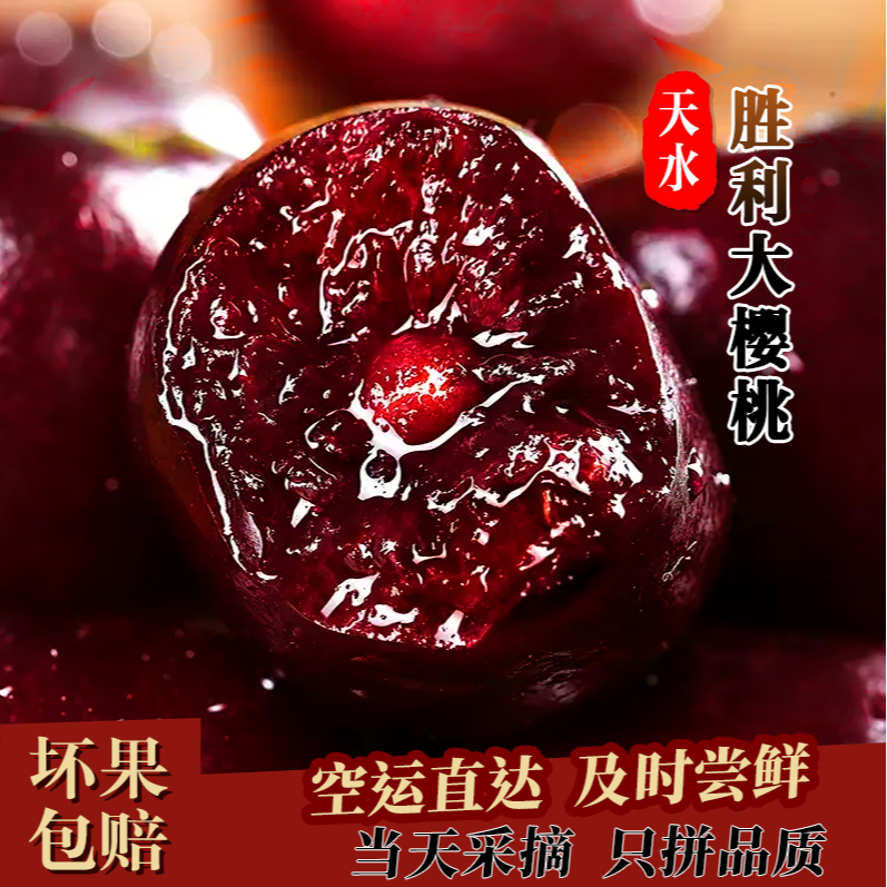 【套袋胜利】【省外拍】现摘天水头茬露天胜利大樱桃车厘子冷链空运