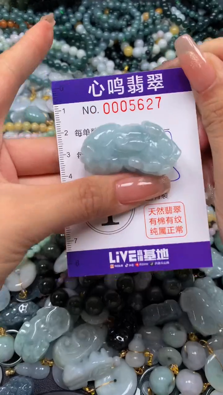 翡翠未镶嵌颈饰闪购005627