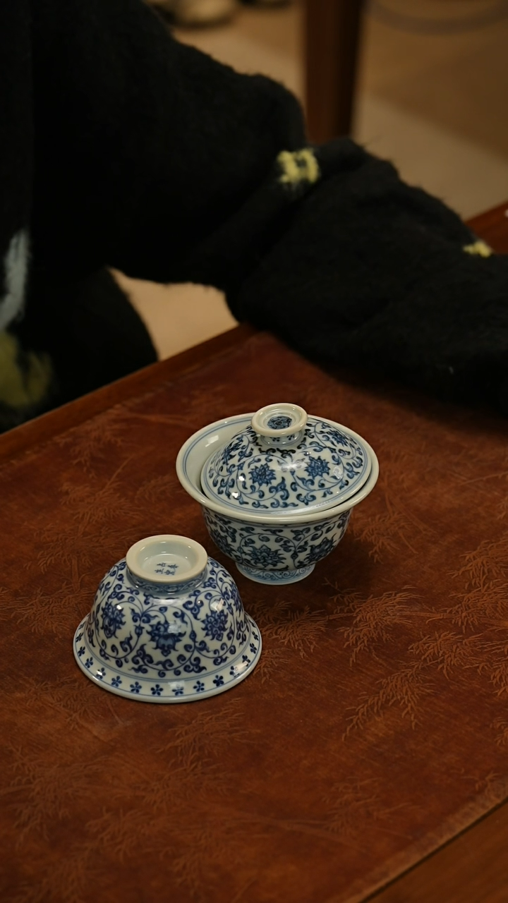 【闪购商品】瓷片             占春生