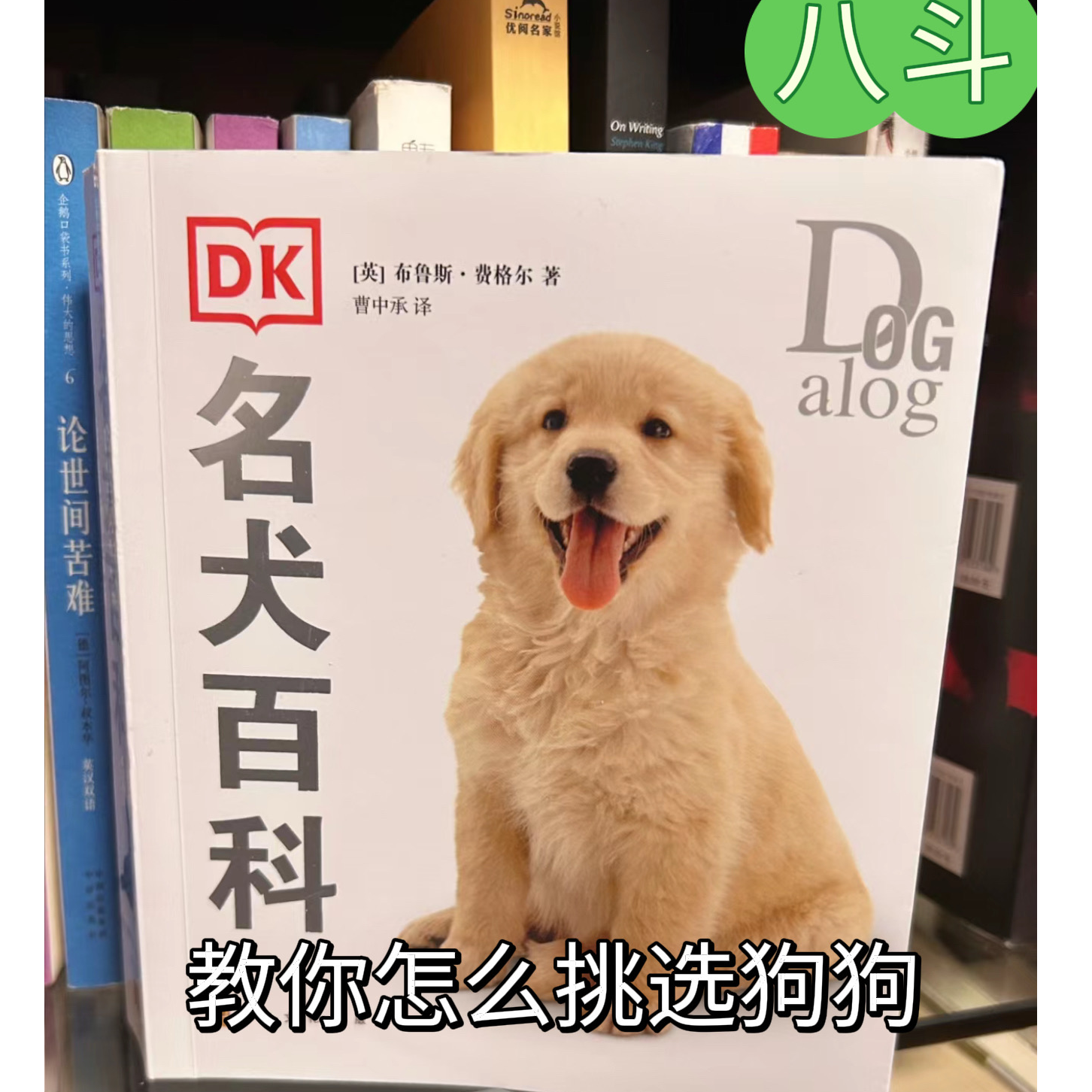 八斗百科全书之教你选手