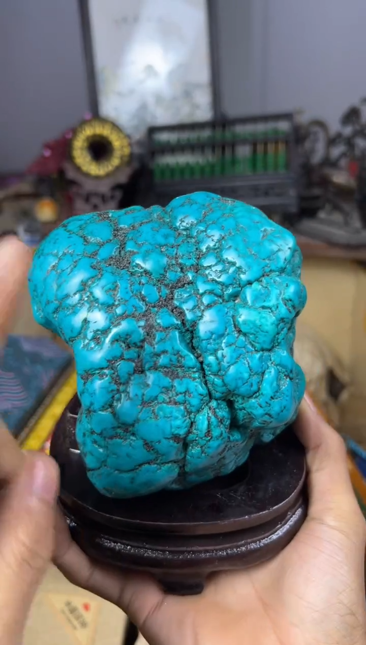 【闪购商品】主播推荐主播推荐