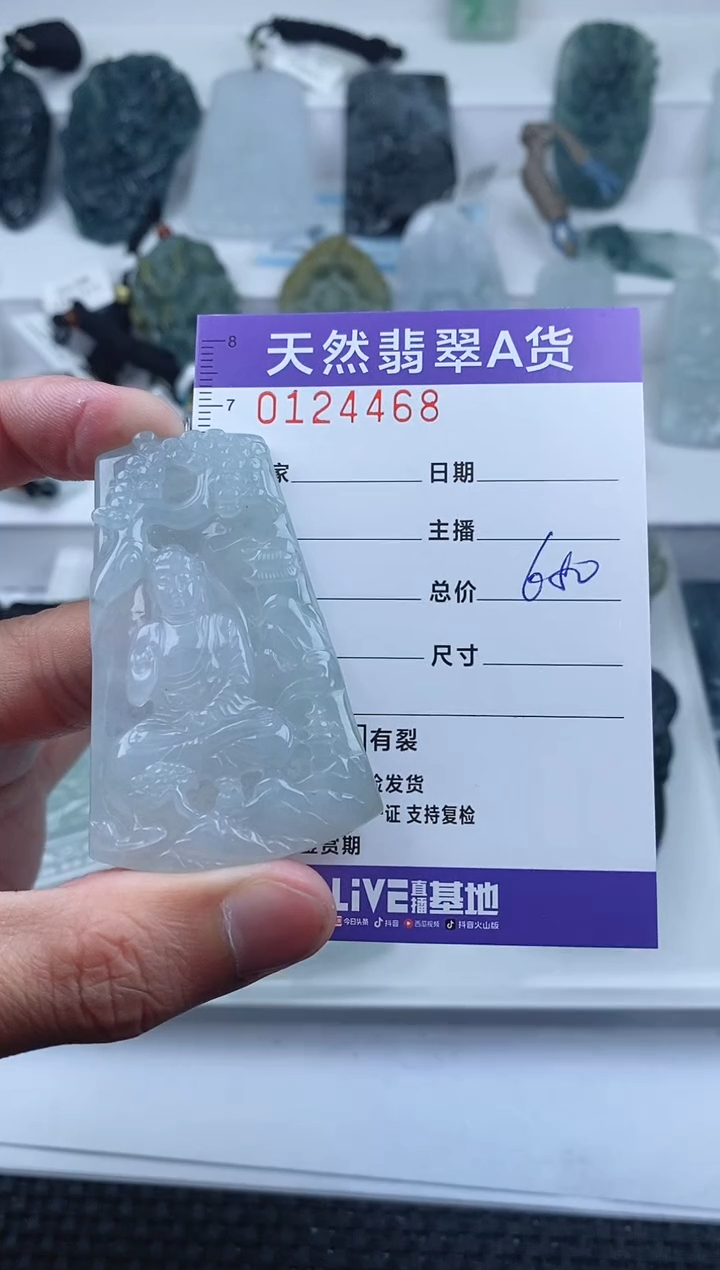 【闪购商品】翡翠颈饰未镶嵌         468