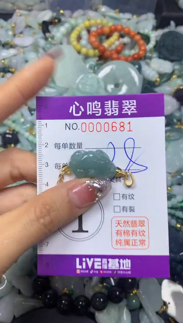 【闪购商品】翡翠颈饰未镶嵌闪购00681