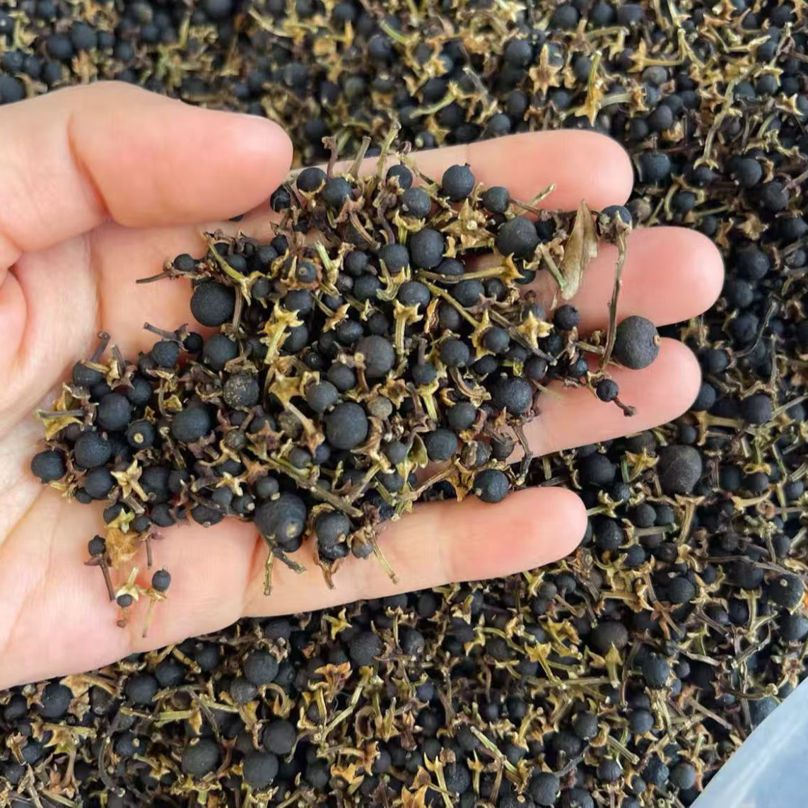 2005嫁妆胎【阿强收皮】圭峰山瓮胎 圭21  老胎果 250g 拍一发三