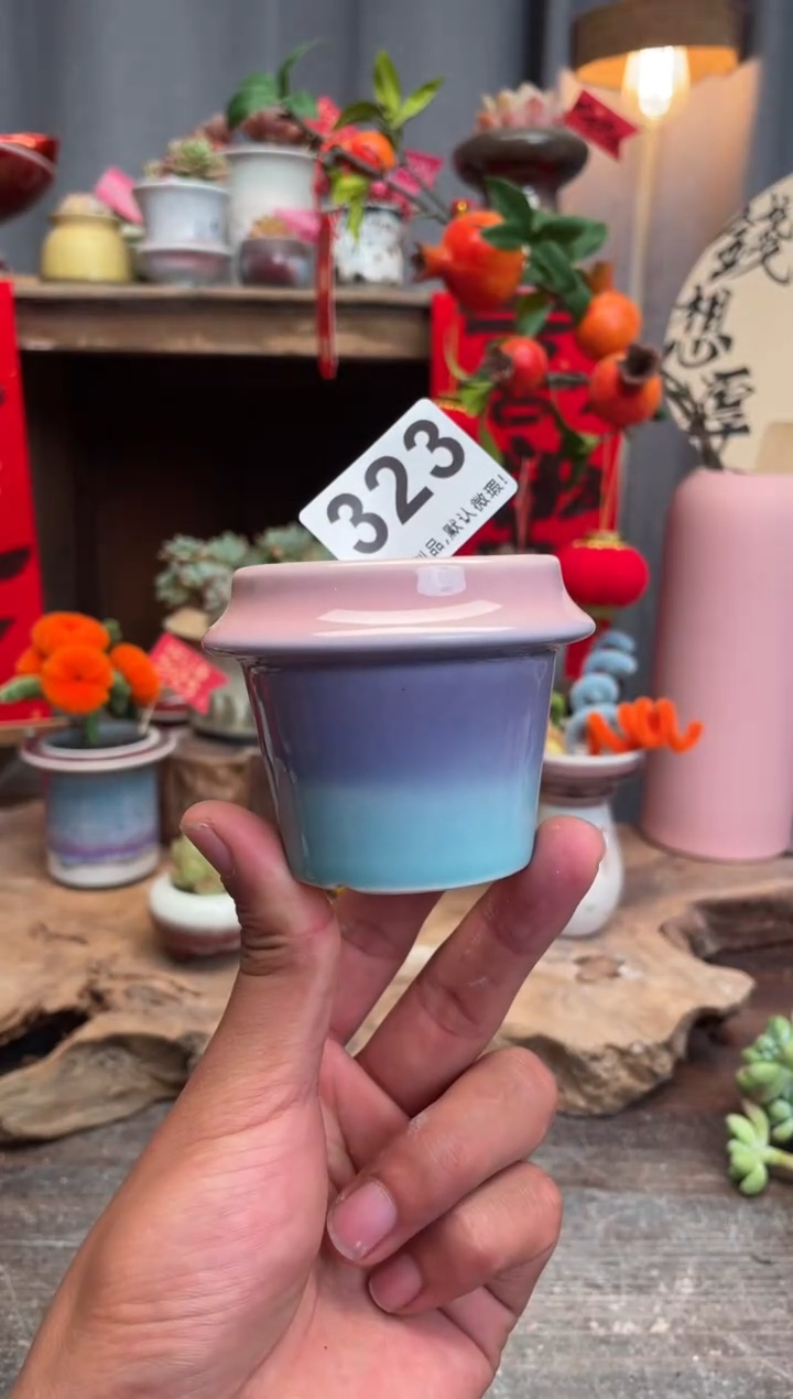 【闪购商品】摆件323小芳手工花盆