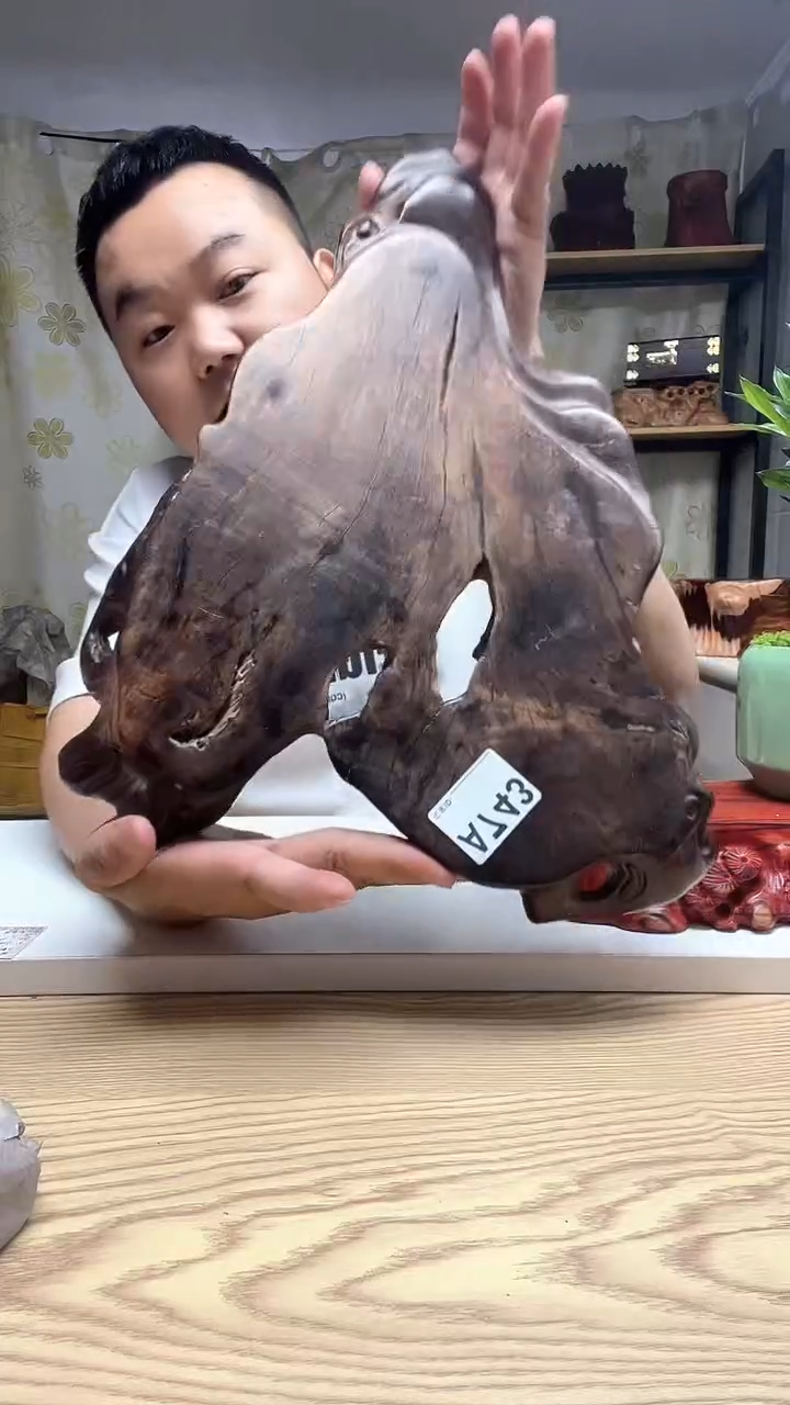 木?****?743---------