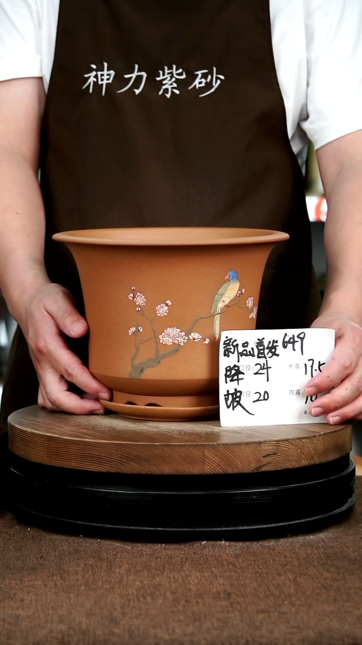 紫砂花盆花卉园艺649+Z