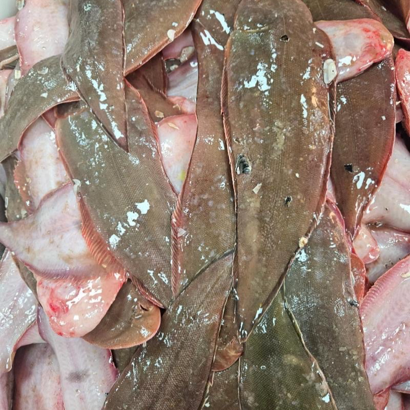 鲜塔莫鱼39元2斤 