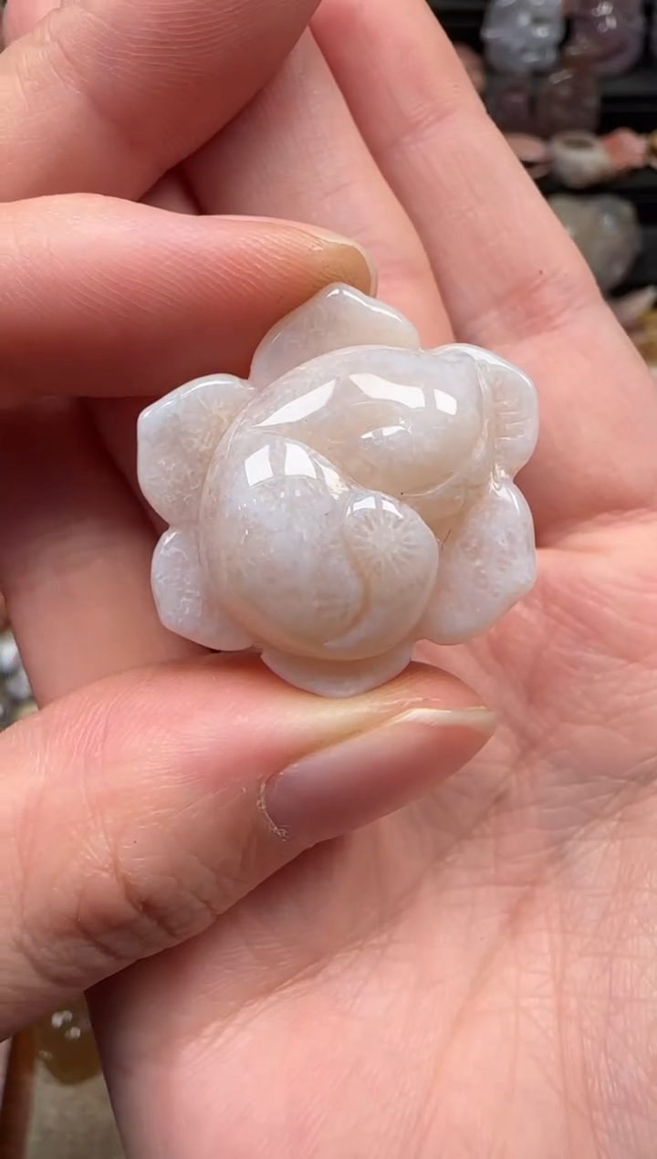 颈饰未镶嵌硅化珊瑚（珊瑚玉）214
