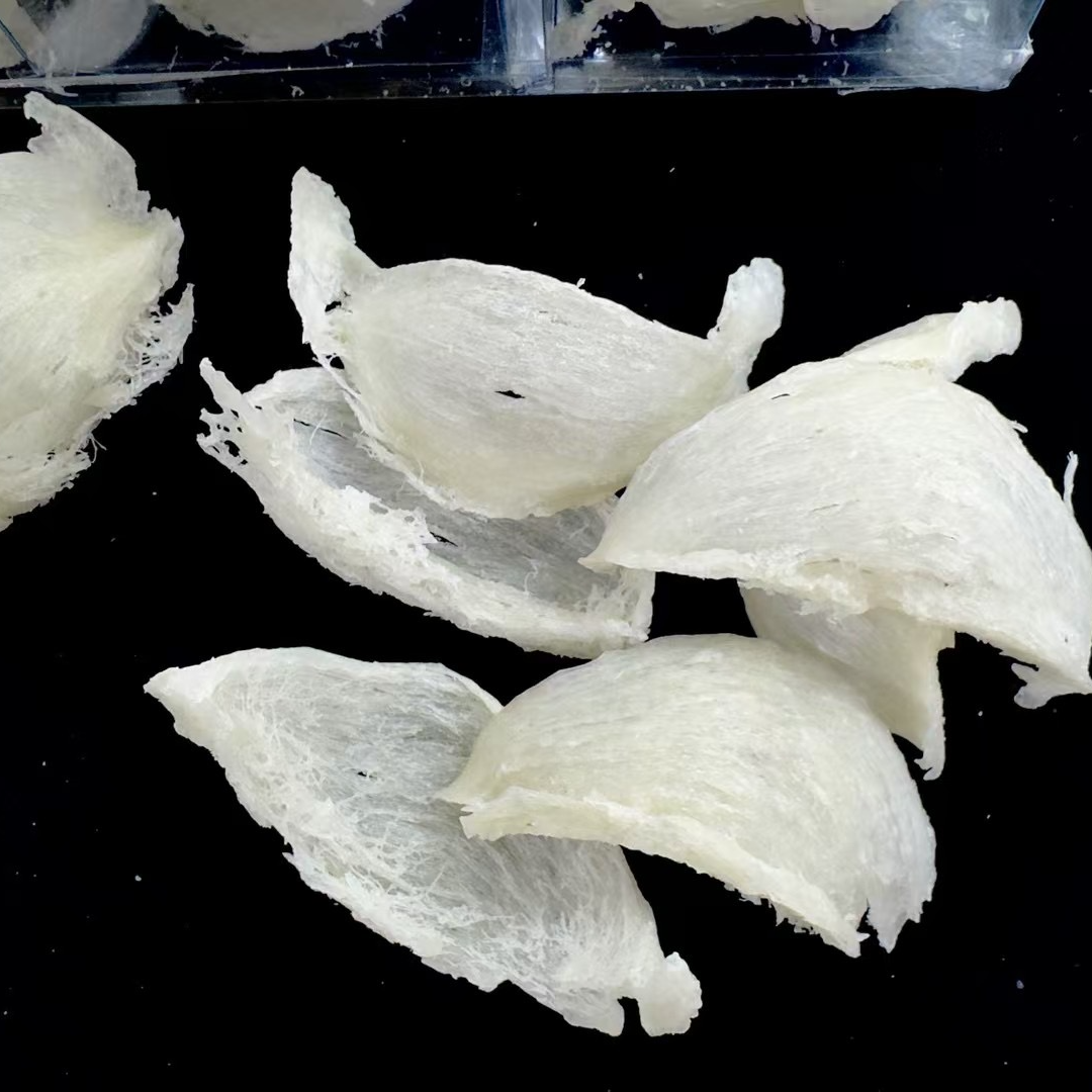 雨季土豪干挑盏条高净度高泡发