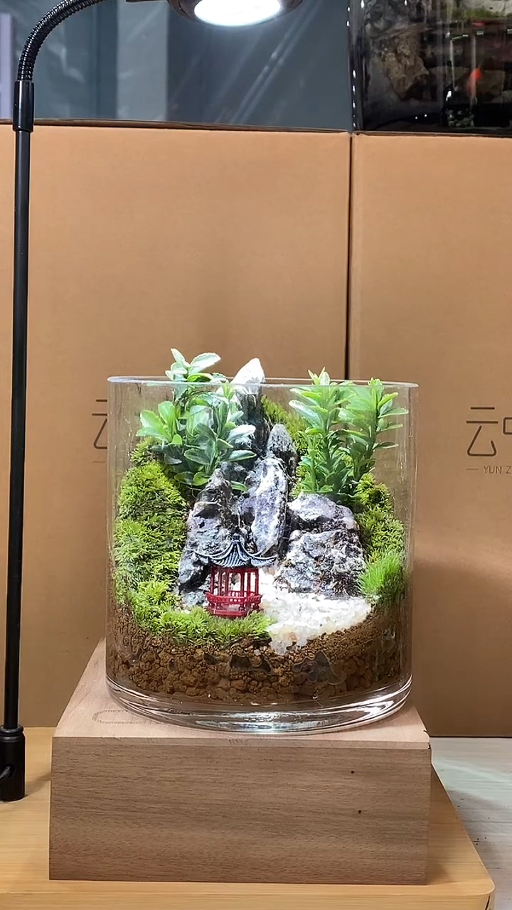 【闪购商品】10cm圆缸青龙石