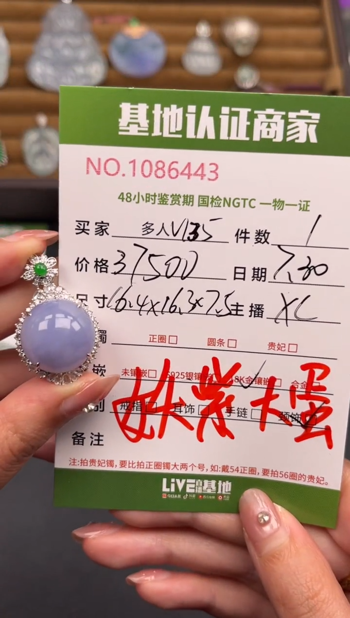 翡翠18K金镶嵌颈饰多人