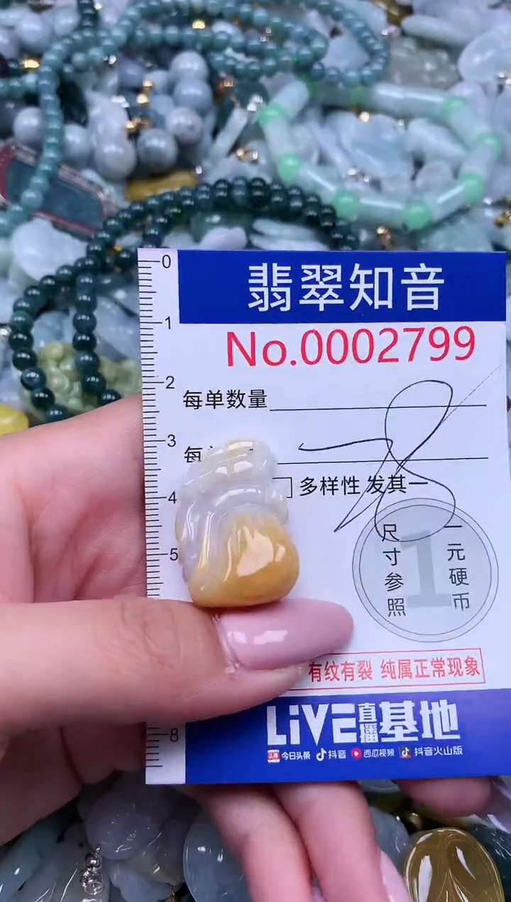 【闪购商品】翡翠吊坠(不含链)未镶嵌2799