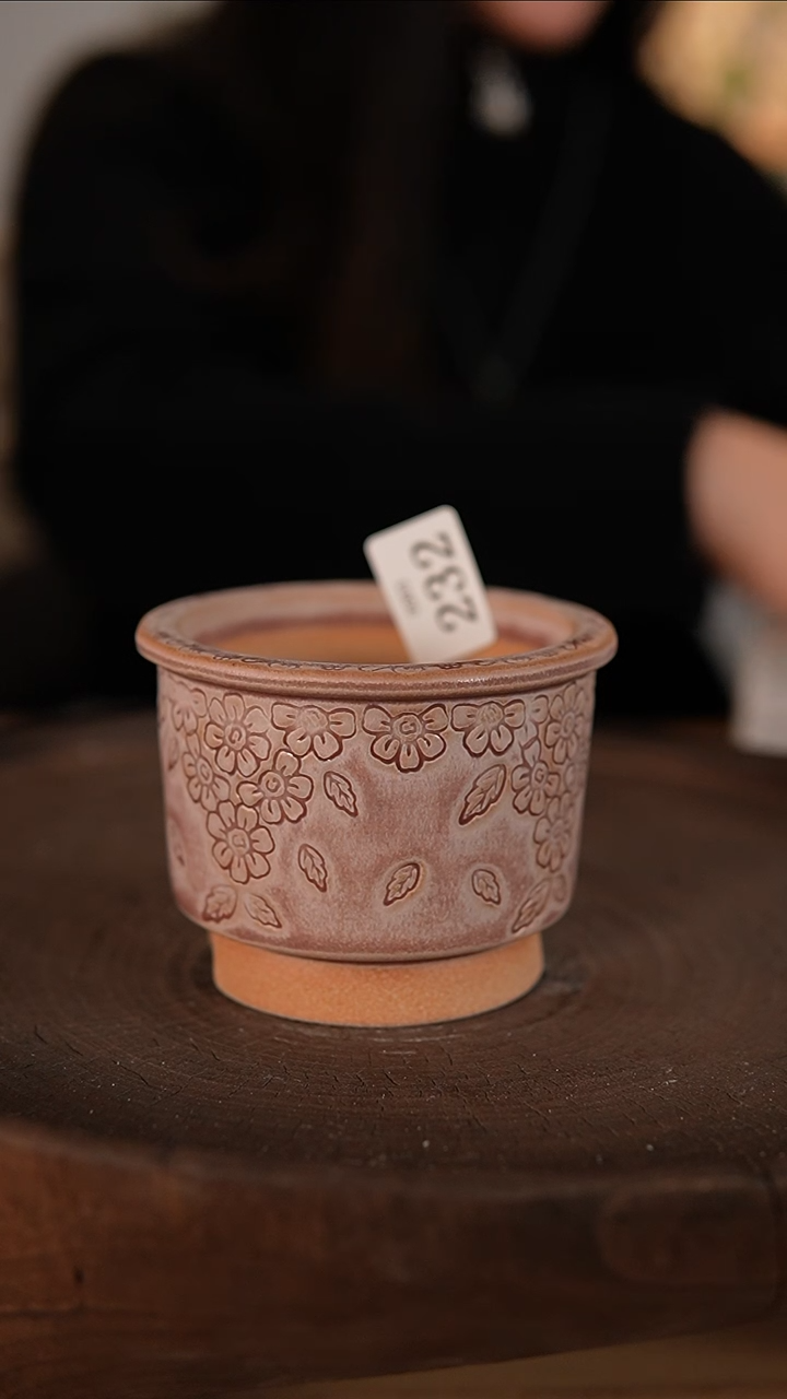 【闪购商品】红陶2-3-232默认有瑕口7