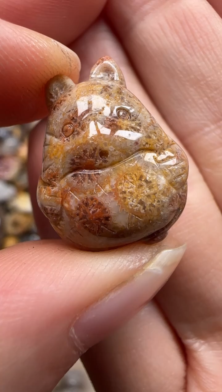 【闪购商品】硅化珊瑚（珊瑚玉）颈饰未镶嵌640