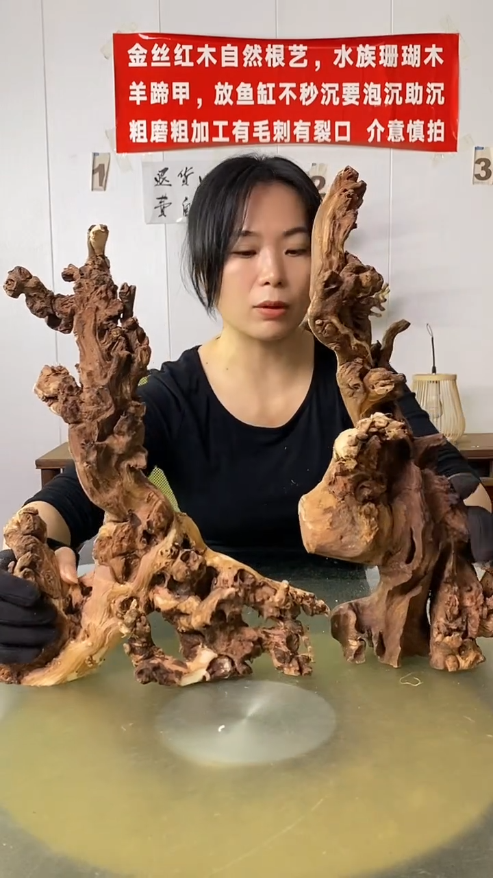 木海**尚金丝红木 羊蹄甲2