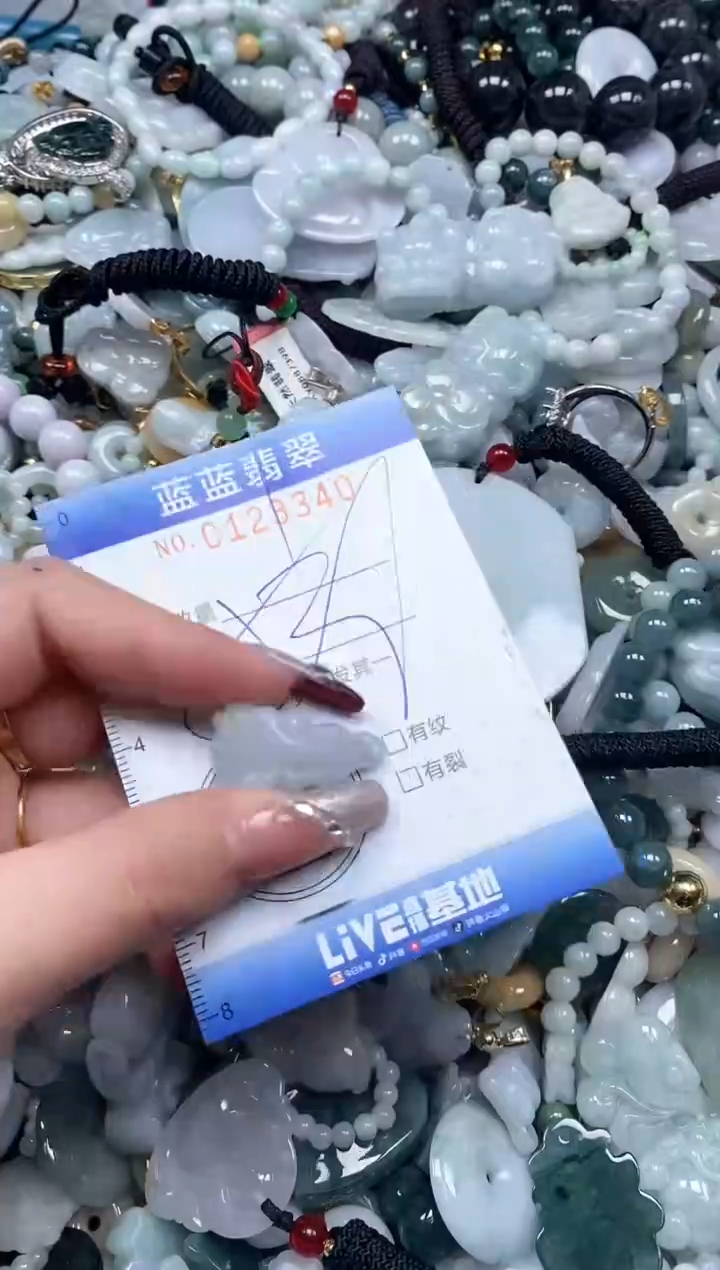 【闪购商品】翡翠颈饰未镶嵌闪购0123340多样性发其一