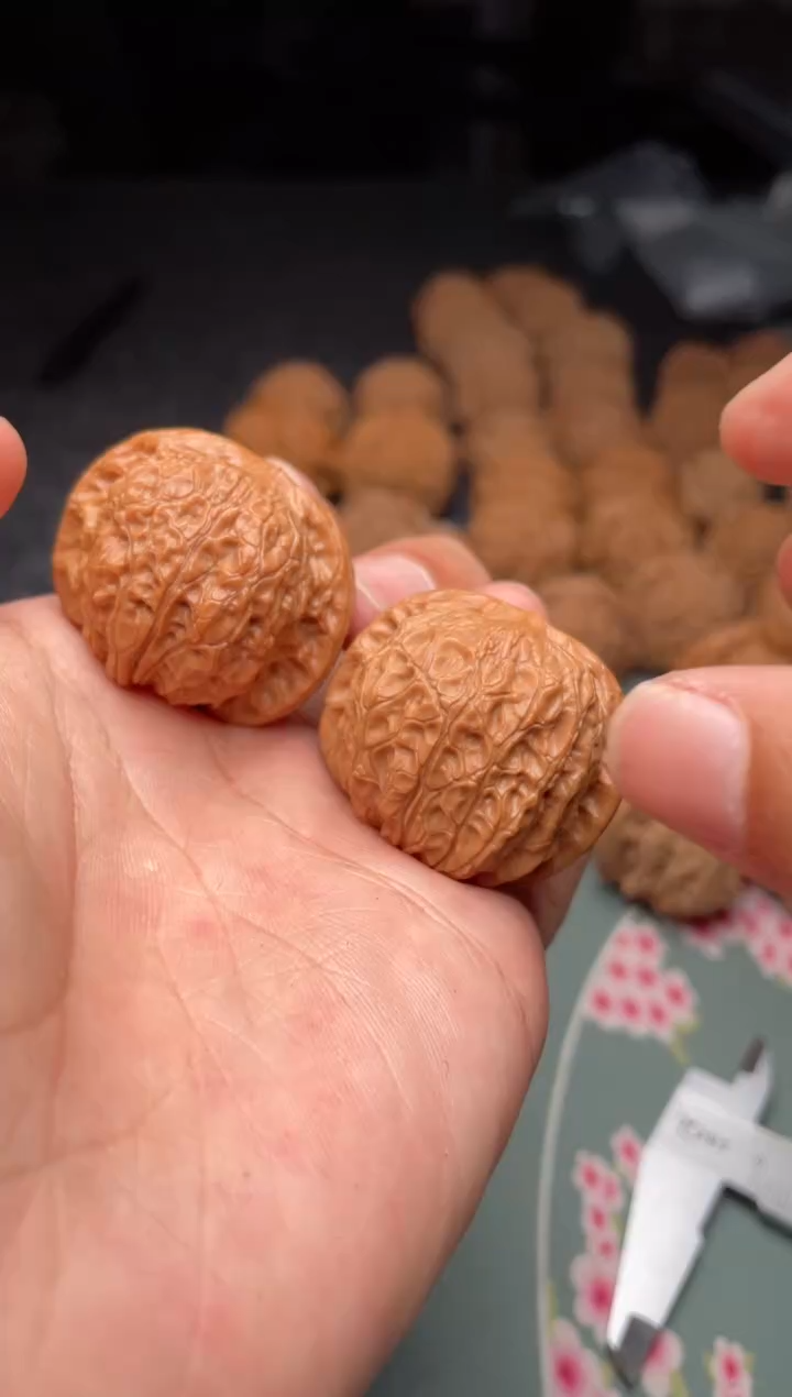 核桃a137  血麒麟 36尺