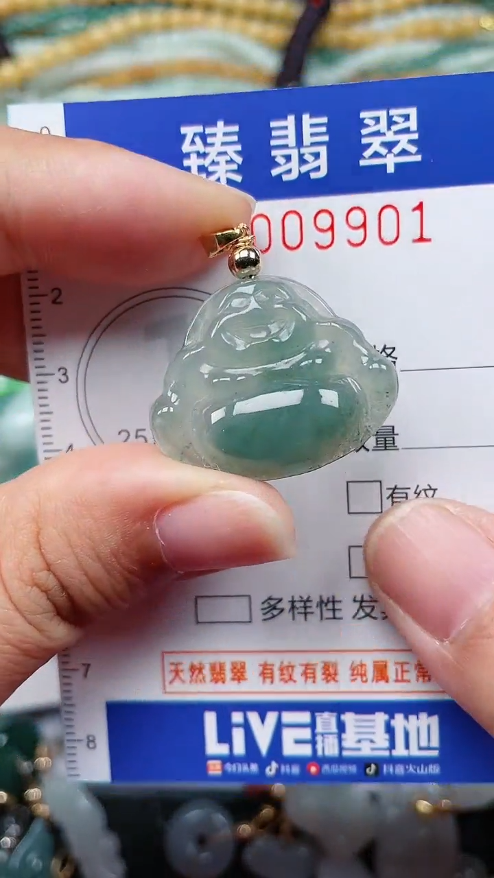 颈饰未镶嵌翡翠.0009901