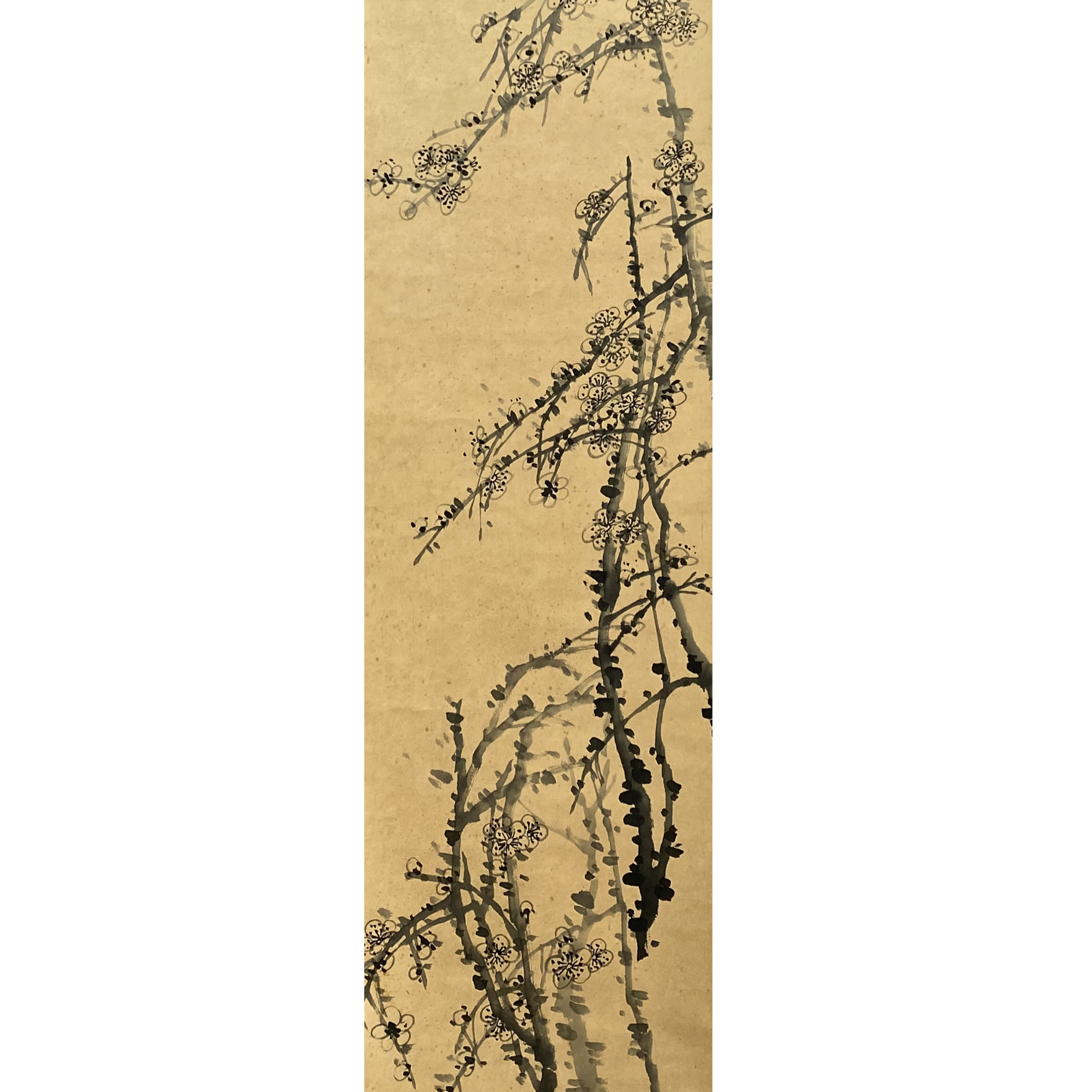 DY14611 花鸟 纸本 137*33 1323