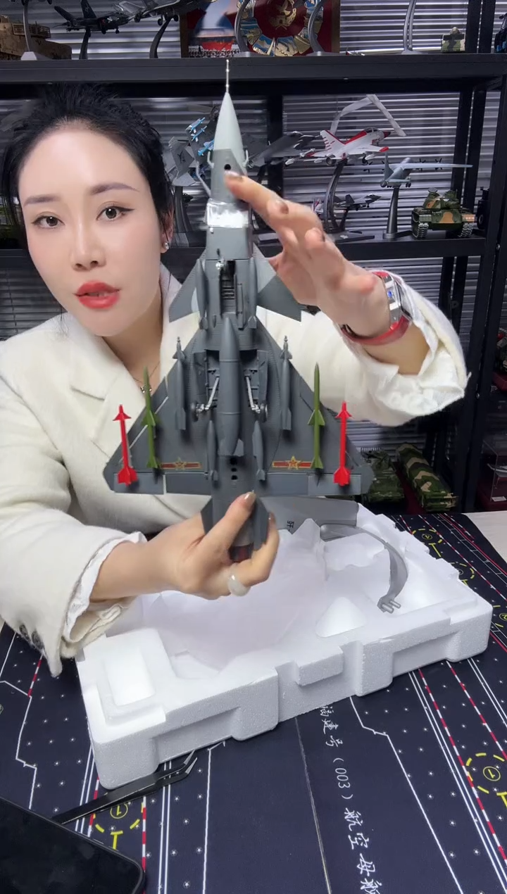 1/48合金飞机模型歼10双座