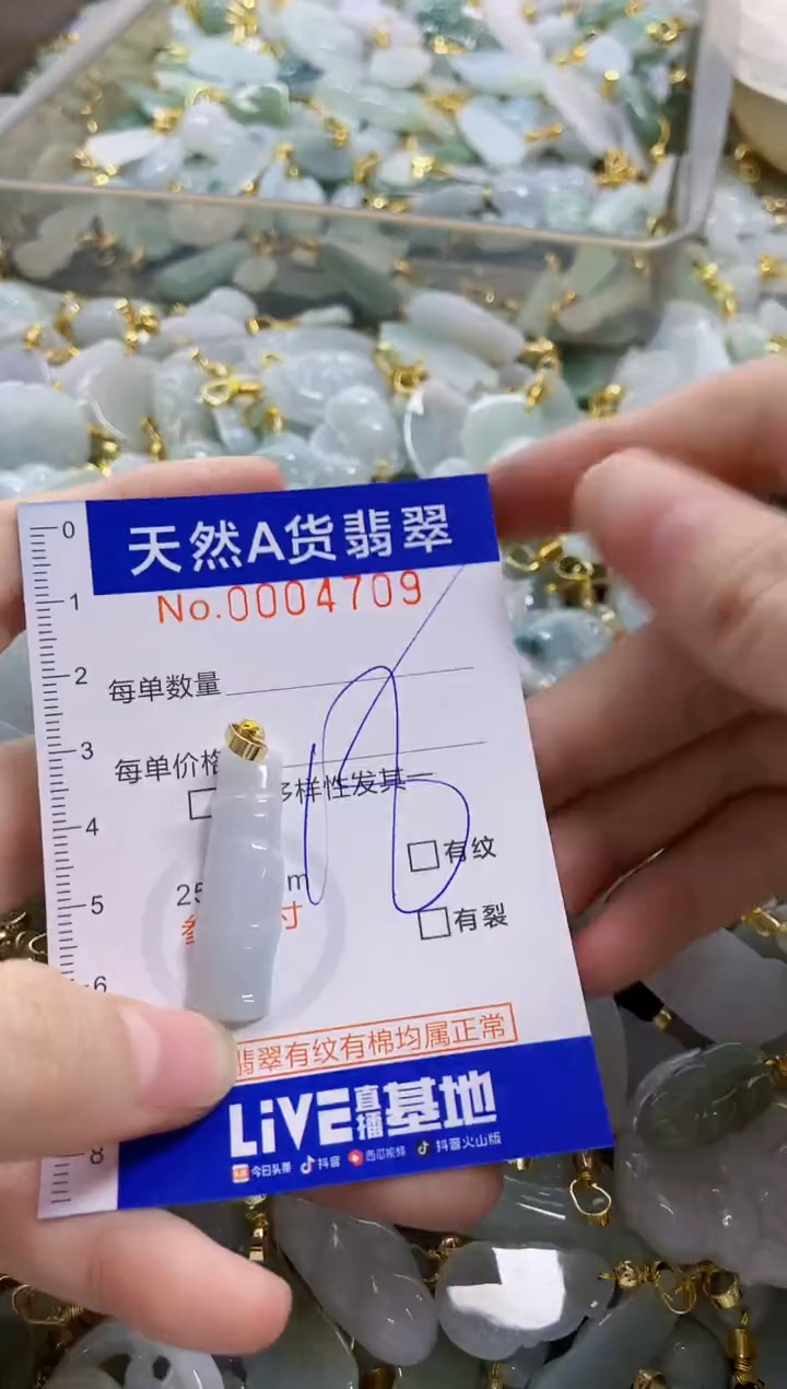 颈饰未镶嵌翡翠天然A货翡翠