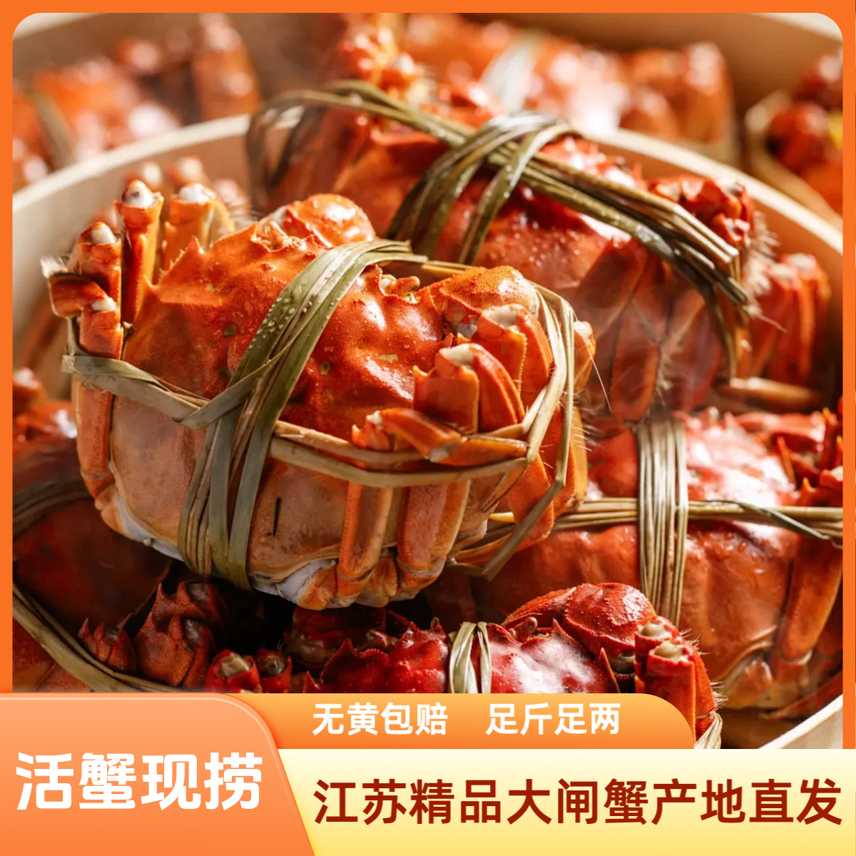 【4两公+3.5两母】10只公4.1-3.8两+母3.6-3.3两洪泽湖大闸蟹活蟹