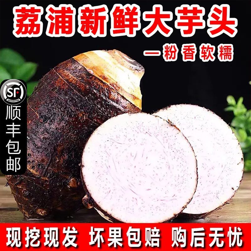 【顺丰包邮】产地直发广西荔浦芋头粉糯香芋农家特大个当季新鲜现挖