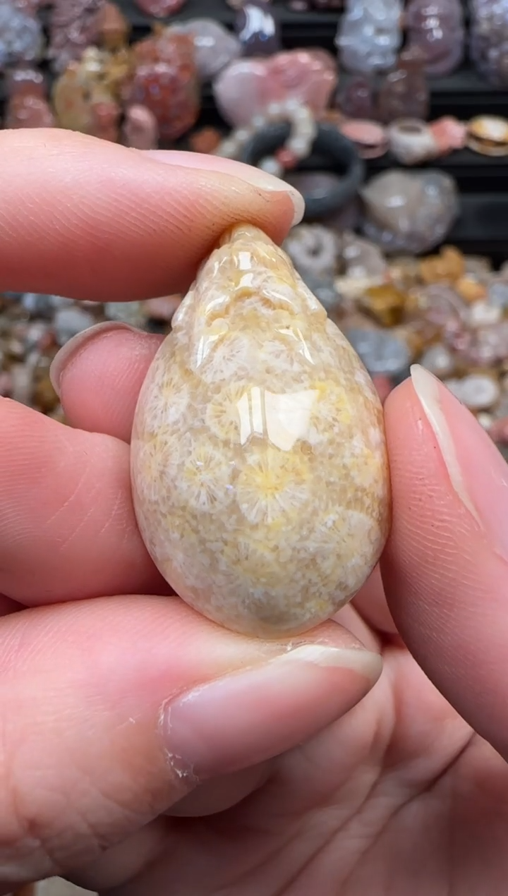 颈饰未镶嵌硅化珊瑚（珊瑚玉）094