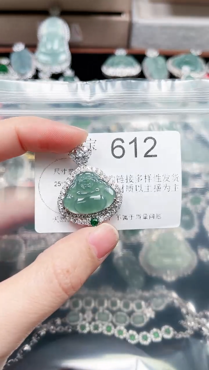 【闪购商品】翡翠颈饰未镶嵌赠皮绳612