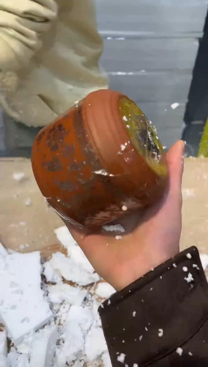 【闪购商品】其他@@@@@@@@@@@@@@@