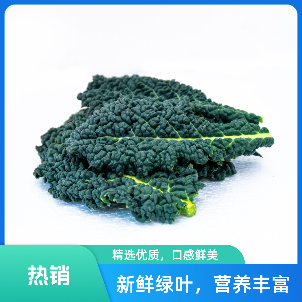 皱叶500g±5g