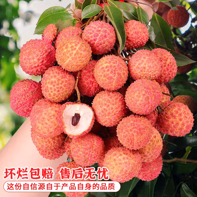 【中通生鲜冷链】现摘新鲜桂味老树荔枝带箱5斤鲜甜多汁当季水果