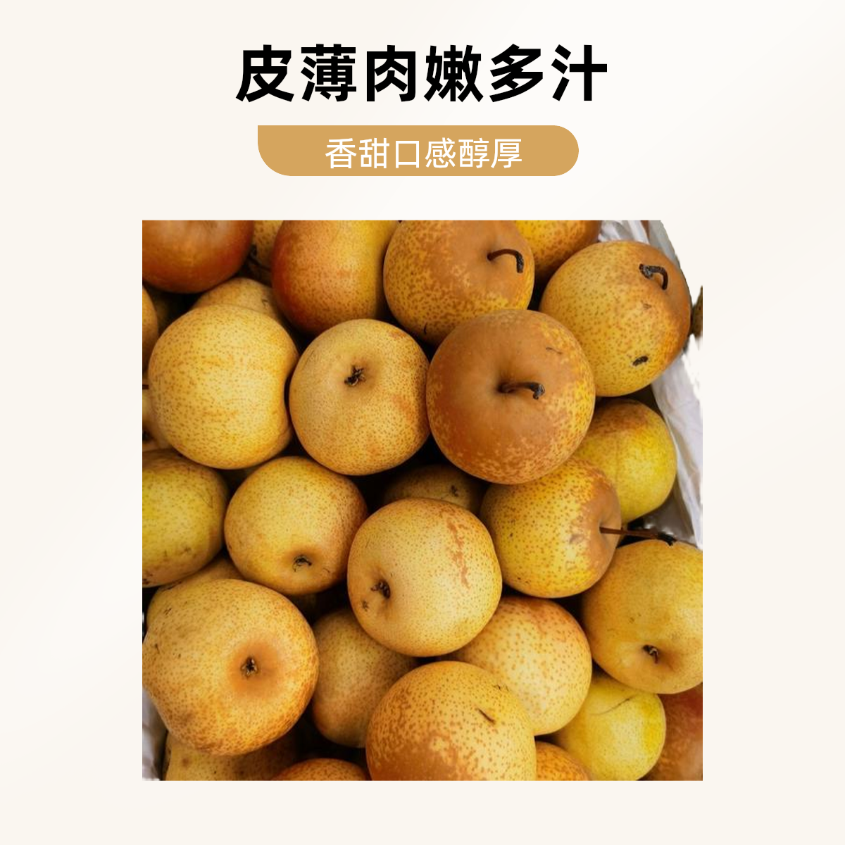 【悦果先生】山西雪梨到货啦（4斤）同城送，小时达