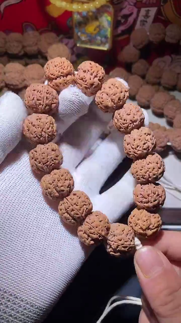 【闪购商品】金刚菩提手串平头闷墩粗筋梅花双龙20