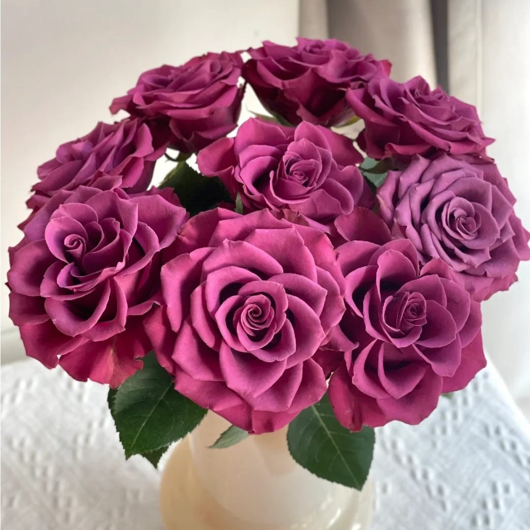 【蓝莓单头】云南斗南基地现采现发品质蓝莓单头玫瑰