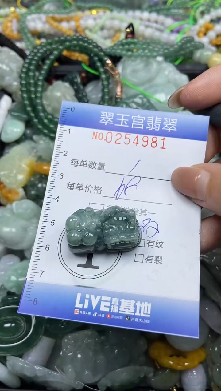 颈饰未镶嵌翡翠闪购C0254981